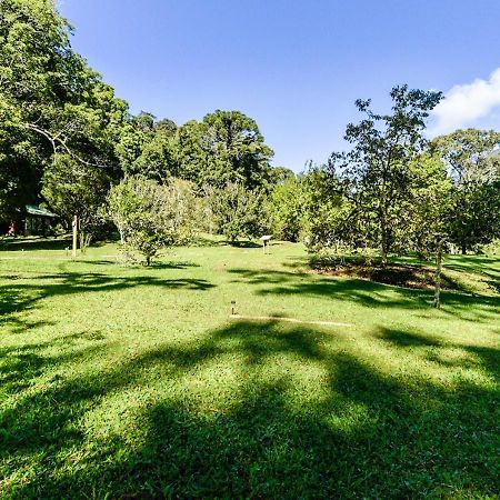 Hotel Refugio Ecologico Amadamata Nova Friburgo Exteriér fotografie