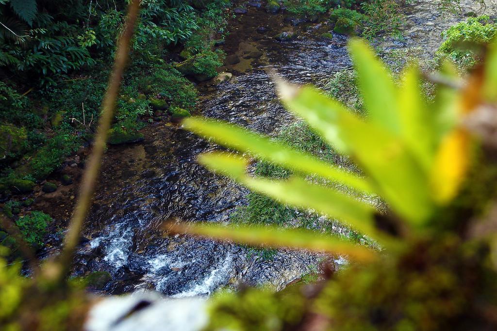 Hotel Refugio Ecologico Amadamata Nova Friburgo Exteriér fotografie