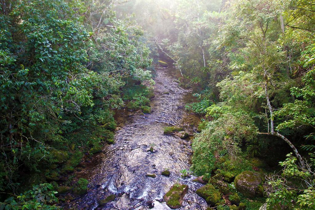 Hotel Refugio Ecologico Amadamata Nova Friburgo Exteriér fotografie