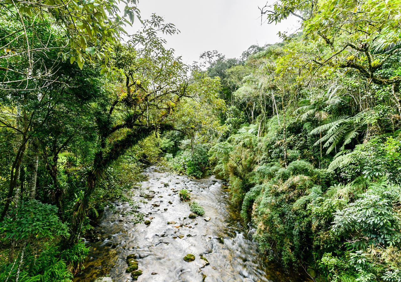 Hotel Refugio Ecologico Amadamata Nova Friburgo Exteriér fotografie