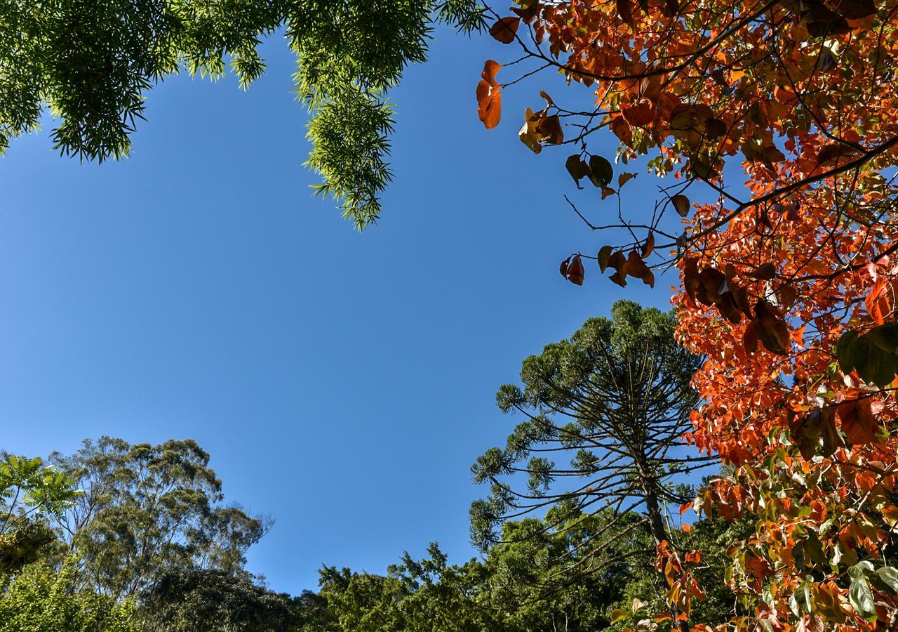 Hotel Refugio Ecologico Amadamata Nova Friburgo Exteriér fotografie