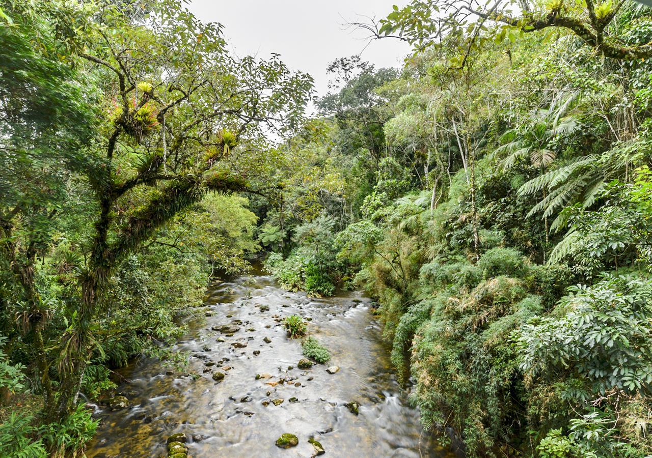 Hotel Refugio Ecologico Amadamata Nova Friburgo Exteriér fotografie