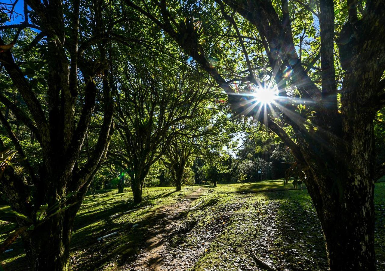 Hotel Refugio Ecologico Amadamata Nova Friburgo Exteriér fotografie